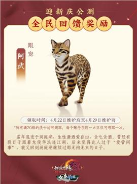 天龙八部私服作法